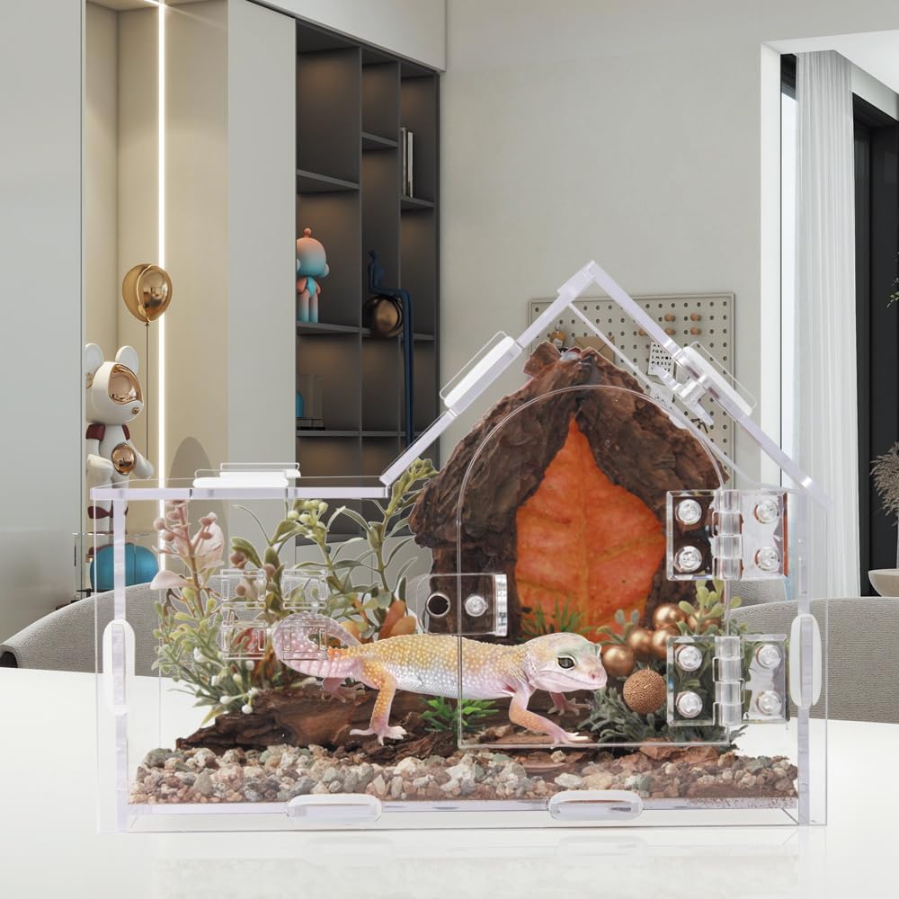 Acrylic Jumping Spider Enclosure House-Shaped Terrarium