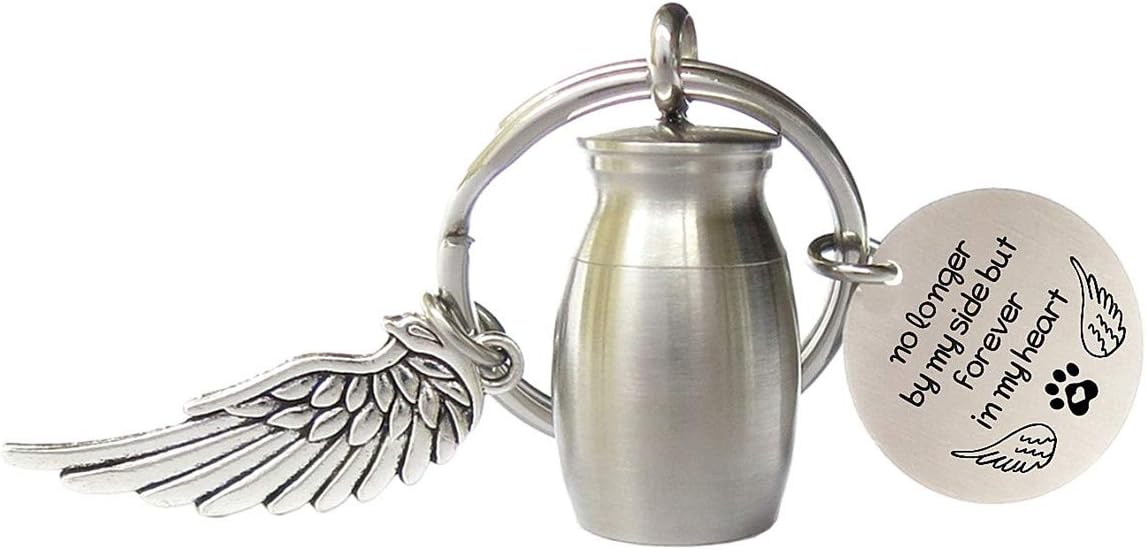 Small Cremation Urn for Pet Ashes Mini Pet Memorial Ashes Holder Key Chain Pet Keepsake Urn Keychain for Dog Cat Pets