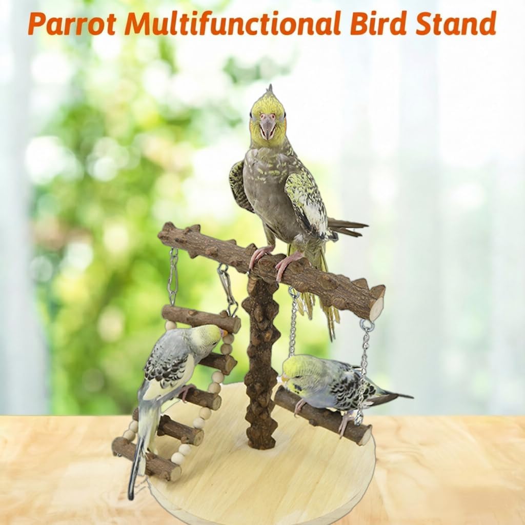 Natural Wood Parrot Play Stand, Bird Gym with Ladder and Swing, Training Station, Climbing Playground for Budgies, Cockatiels, Lovebirds,Conures Small to Medium Birds