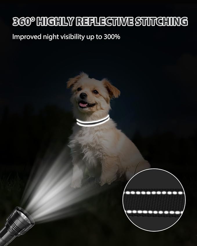Joytale Small Dog Collar, Reflective and Adjustable Nylon Collar - Image 5