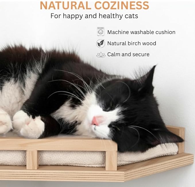 INICIO Cat Wall Shelves - Image 4