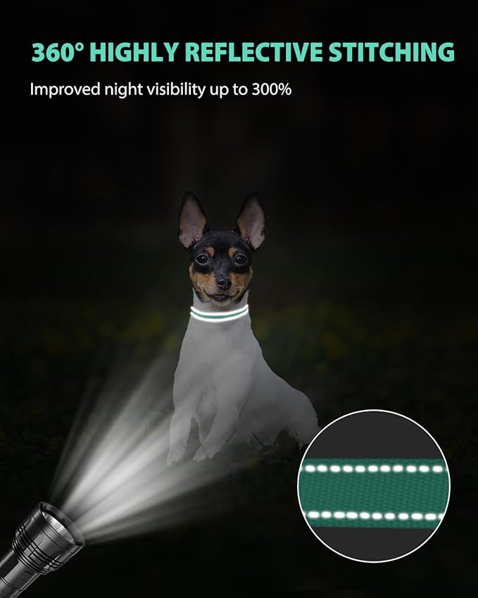 Joytale Small Dog Collar, Reflective and Adjustable Nylon Collar - Image 5