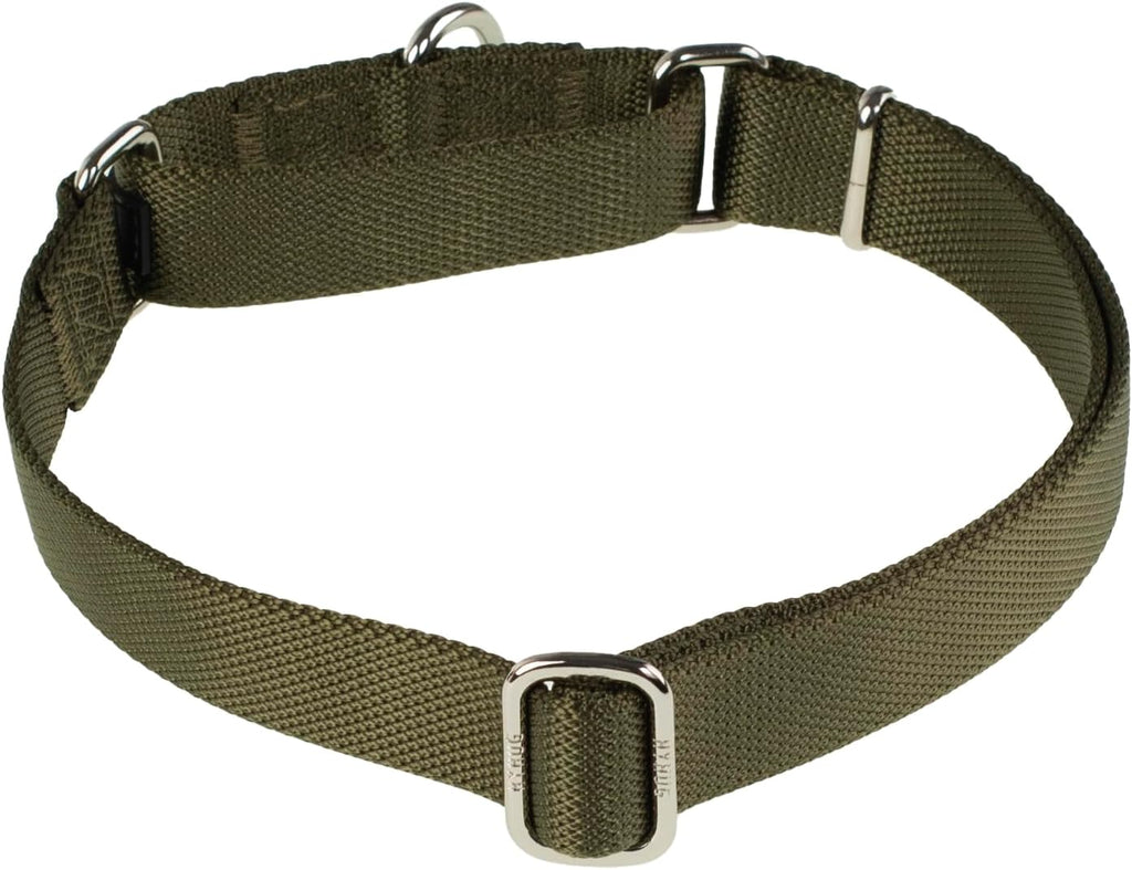 Hyhug Martingale Collar for Dogs, Large Green, Escape Proof