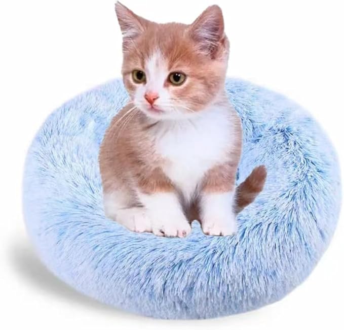 Small Cat Bed for Indoor Cats by Unknown
