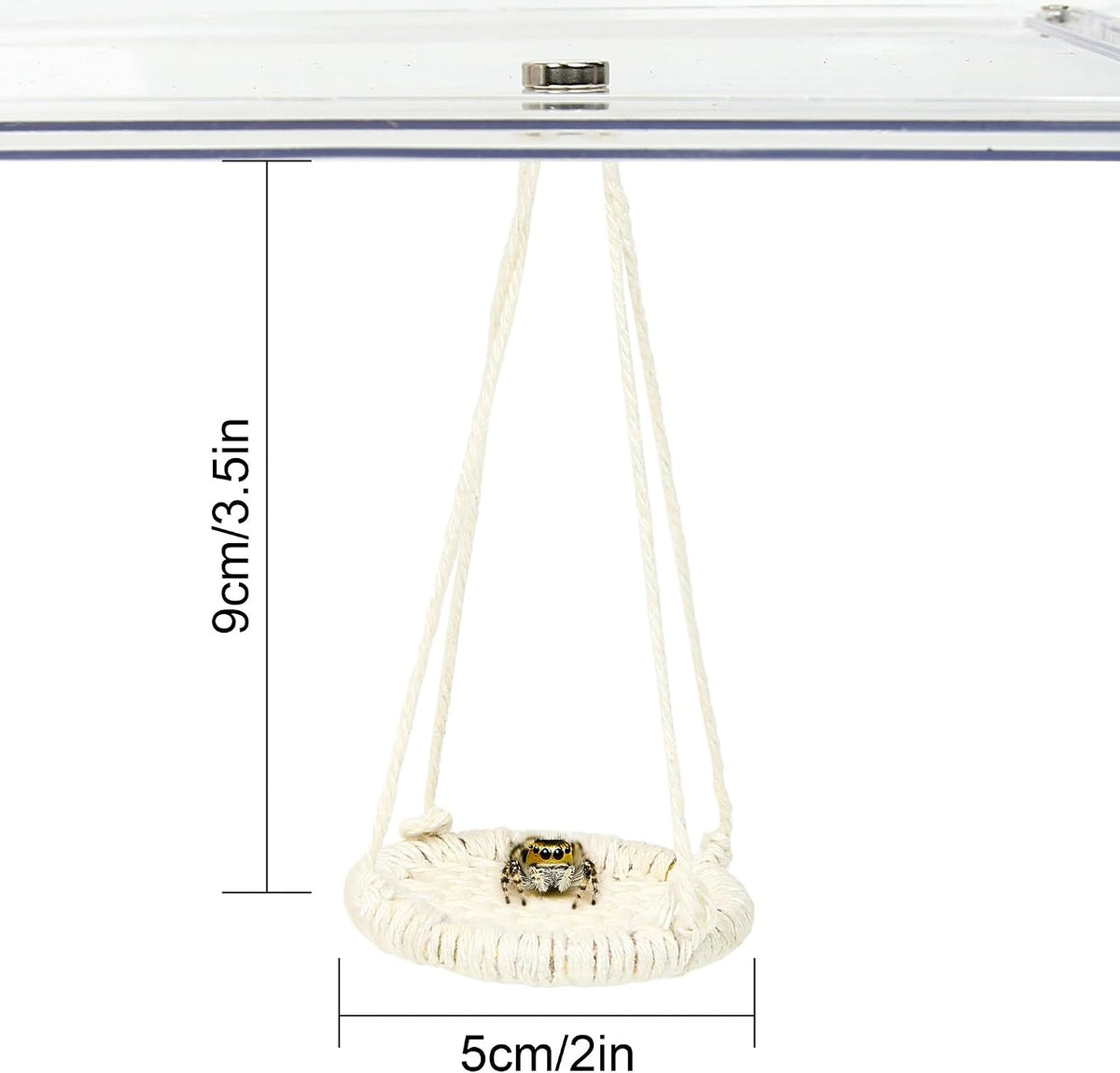 Jumping Spider Accessories, 3 Pcs Jumping Spider Natural Cotton Rope Bridge, Swing & Climbing Net Handmade Magnetic Mounting, for Medium and Small Jumping Spider Terrarium Enclosures