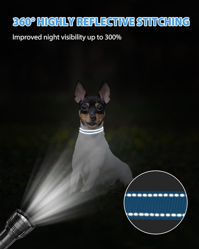 Joytale Small Dog Collar, Reflective and Adjustable Nylon Collar - Image 5