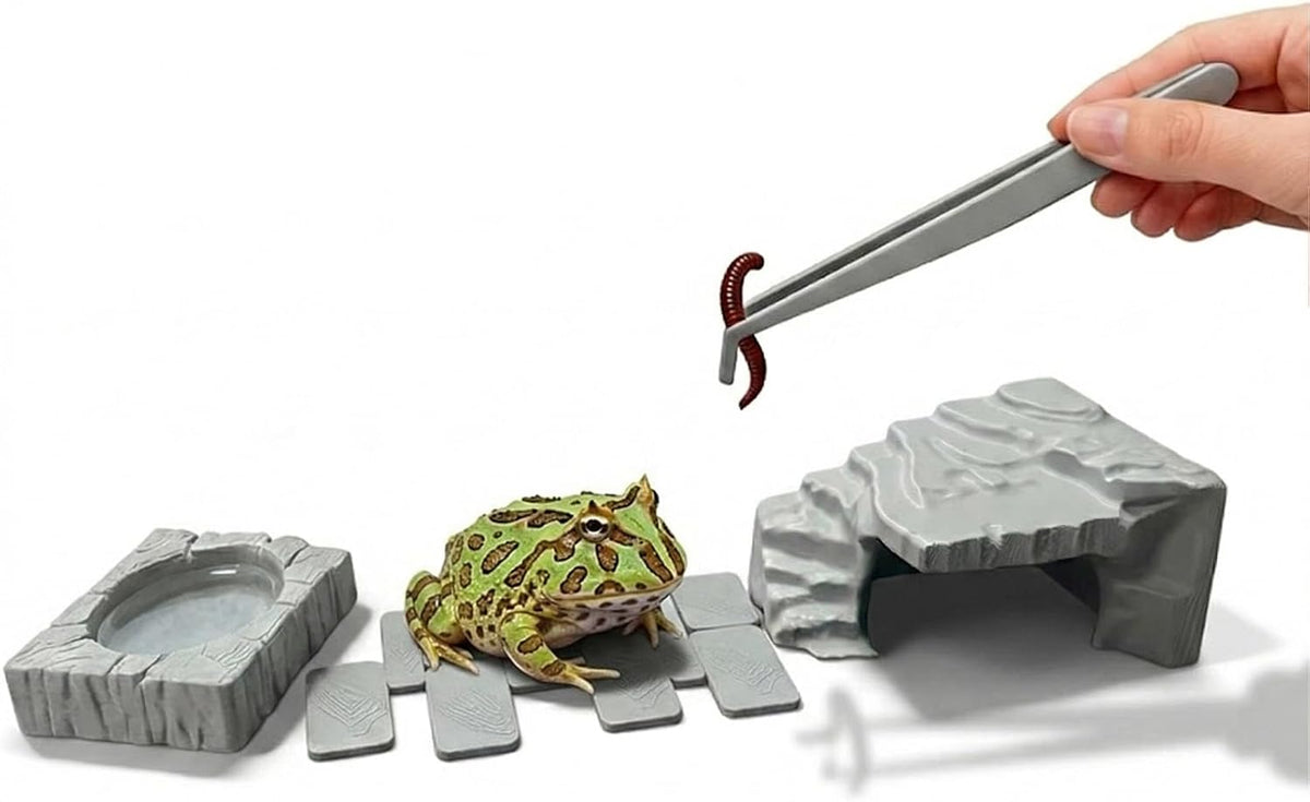 Frog Hideout, Toad Cave，with Water Bowl, Stepping Stones and Feeding Tweezers, for Horned Frogs, Turtles and Other Small Animals, Terrarium and Aquarium Decor.