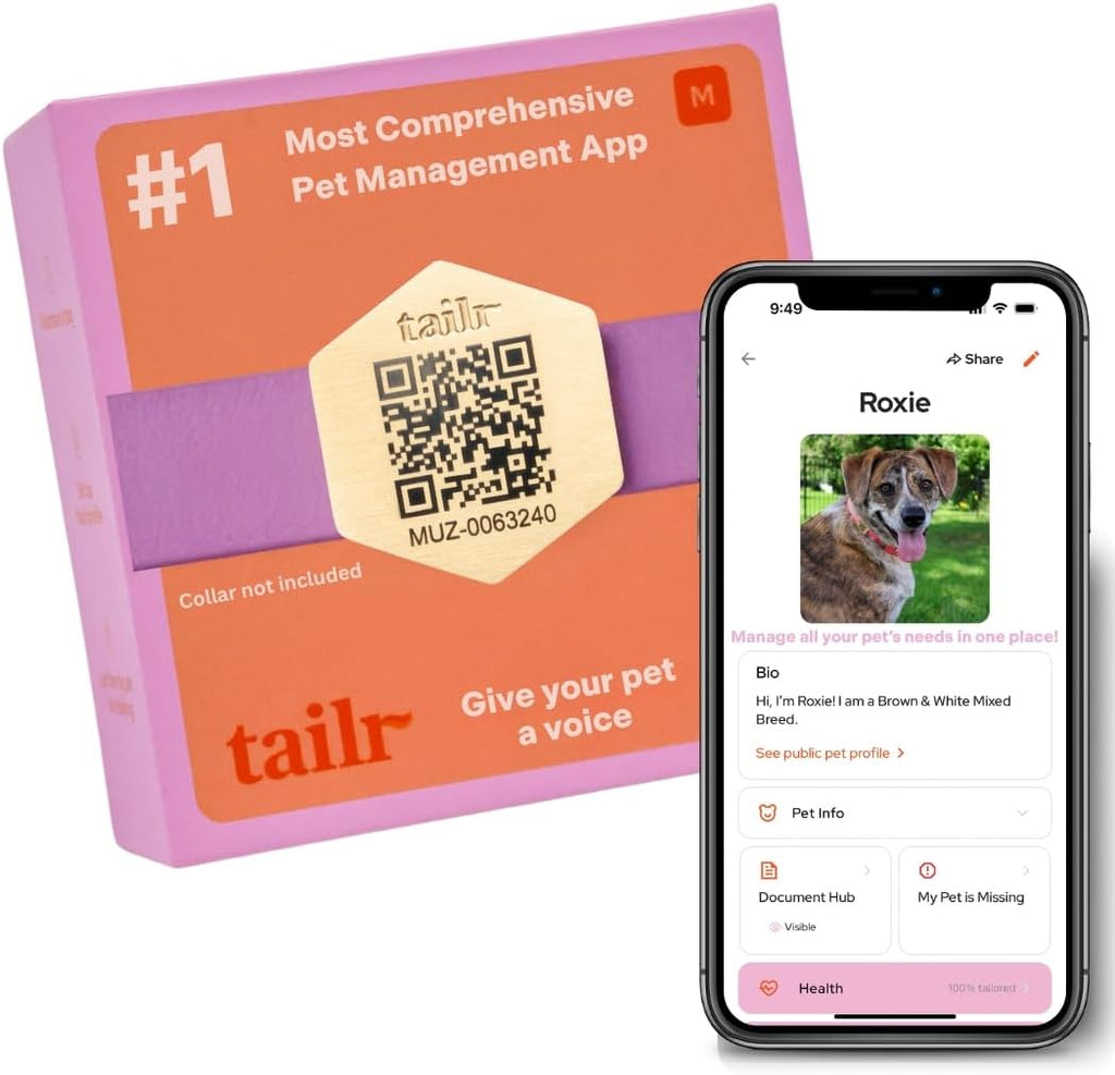 Slide-On Pet ID QR Tag, Gold-Plated Military-Grade Steel, Includes Free Digital Pet Profile App with Health Records Manager & Document Hub (Medium)