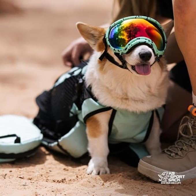 K9 Sport Sack Plus 2 - Image 6