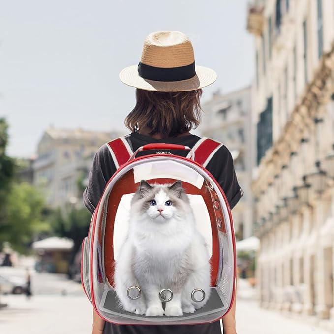 Pet Backpack Carrier, Bubble Backpack Cat Carrier, Pets and Small Dogs - Image 3