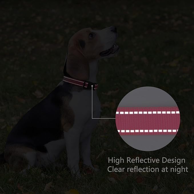 Reflective Dog Collar Padded - Image 5