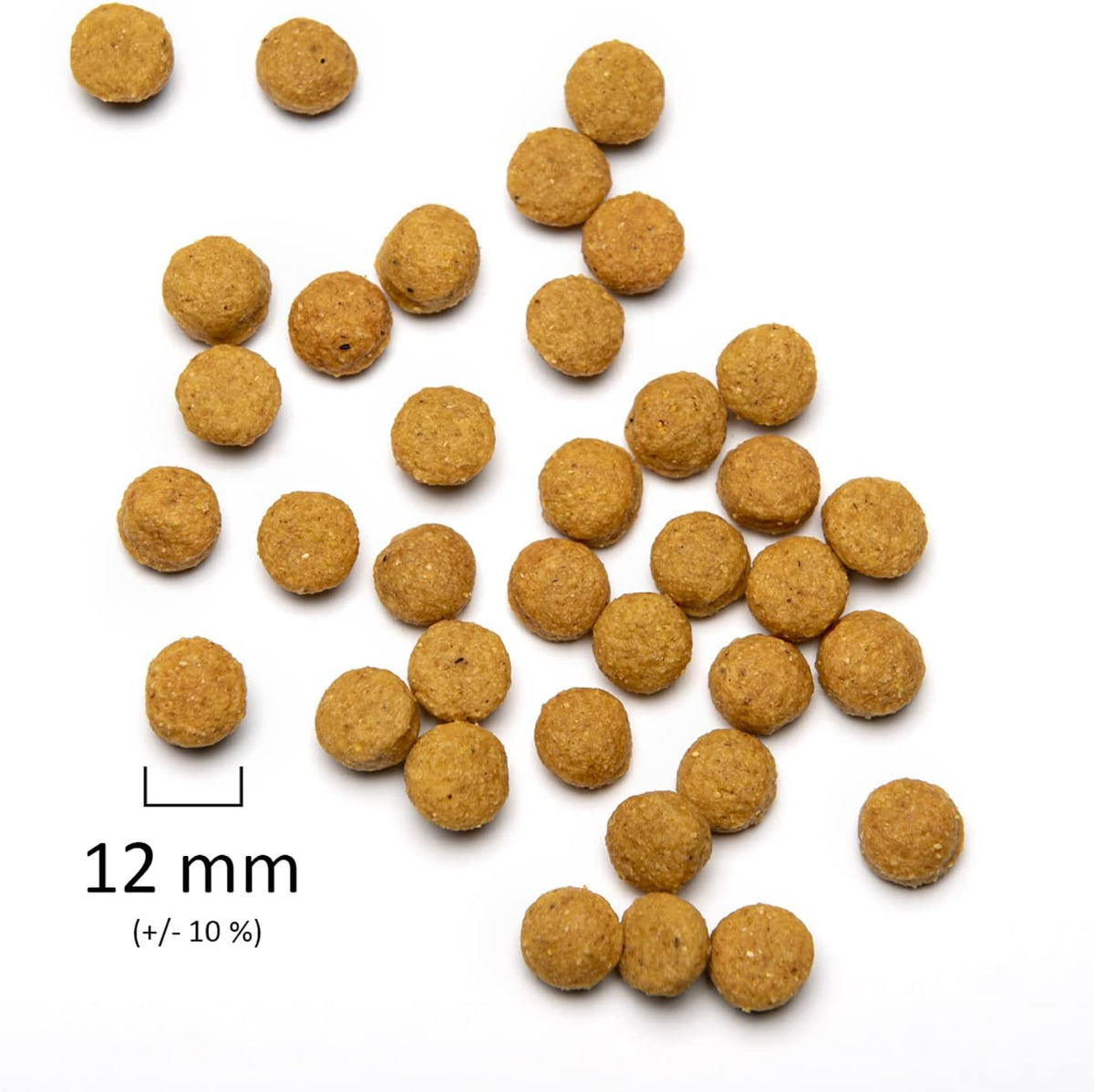 Psittacus High Energy 1.76 lb | Complete Pellet Diet for African Greys, Macaws and Other African Parrots | Premium Food for Birds, 100% Non-GMO