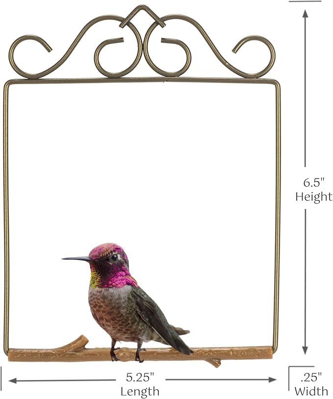 The Original Hummingbird Swing for Outdoors - Image 5