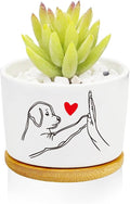 Window Garden Dog Planter Pots, Dog Gifts by Databa