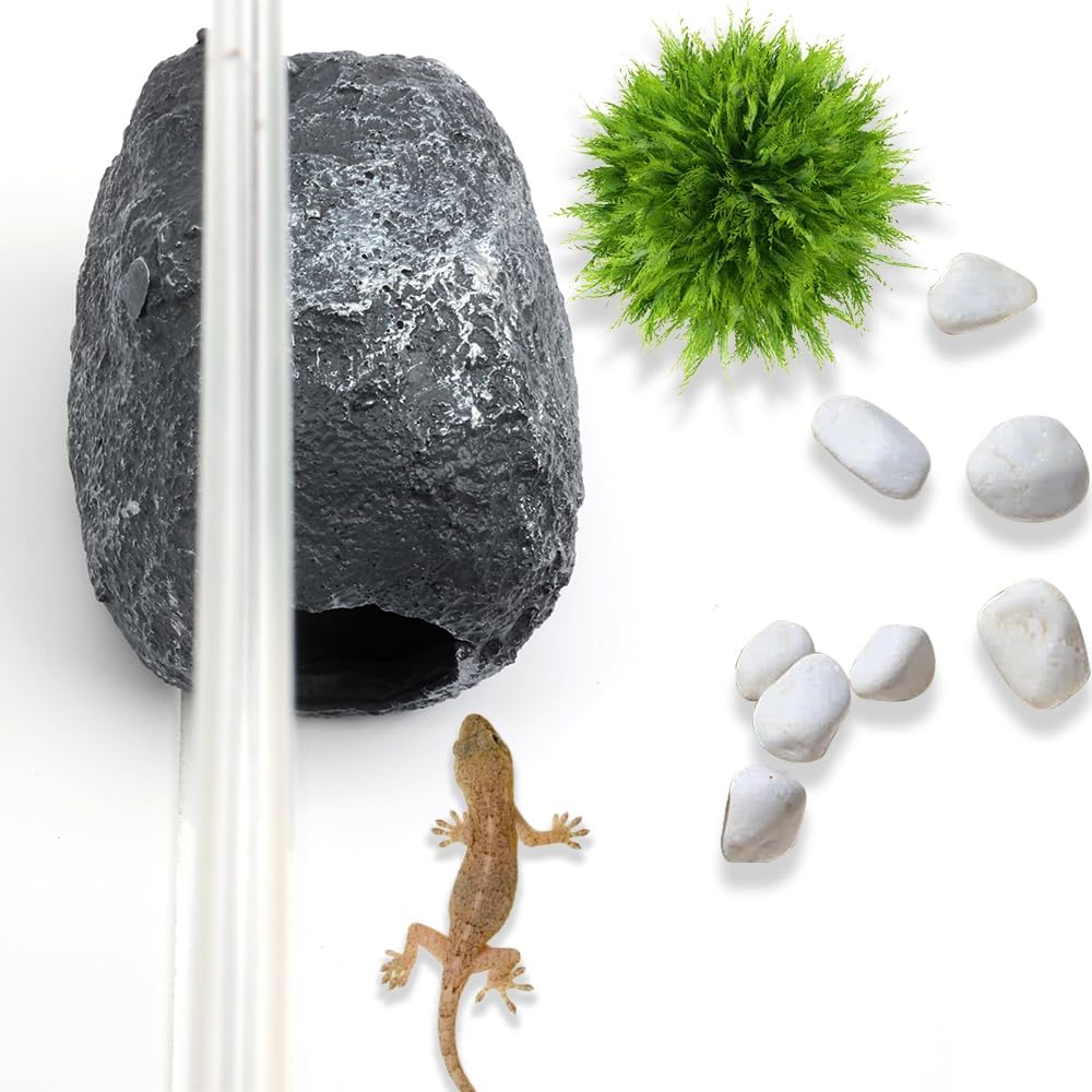 DQITJ Small Reptile Cave Magnetic Design for Easy Viewing Hideout Decoration for Spider Hermit Crab Gecko Corn Snake