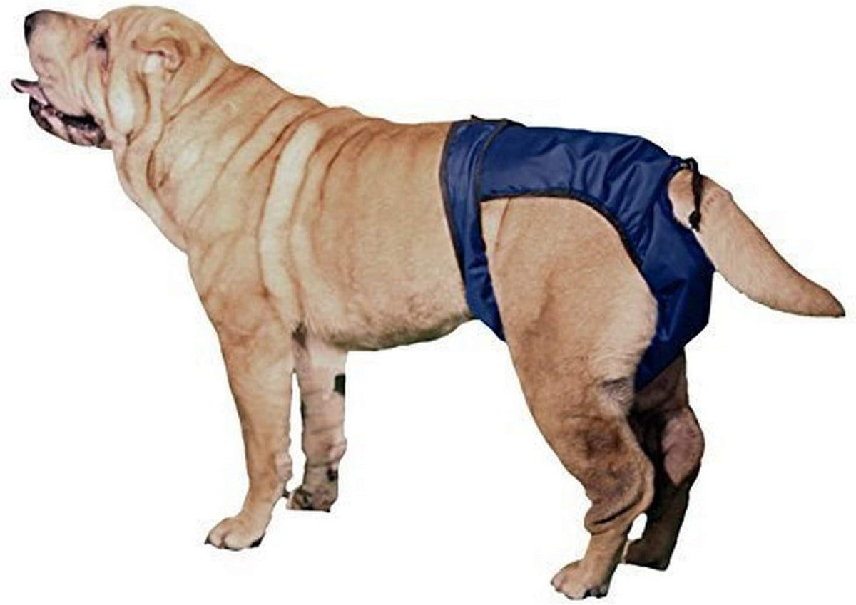 Integrated Pet Solutions SnuggEase Washable Dog Diaper (Pack of 2), XX-Small