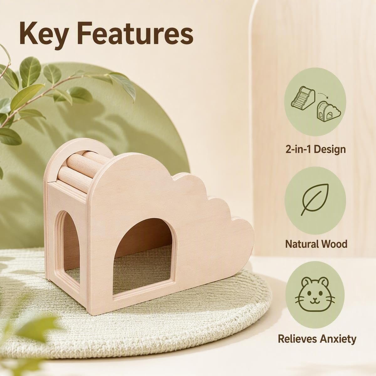 Hamster House and Hideout with Climbing Ladder