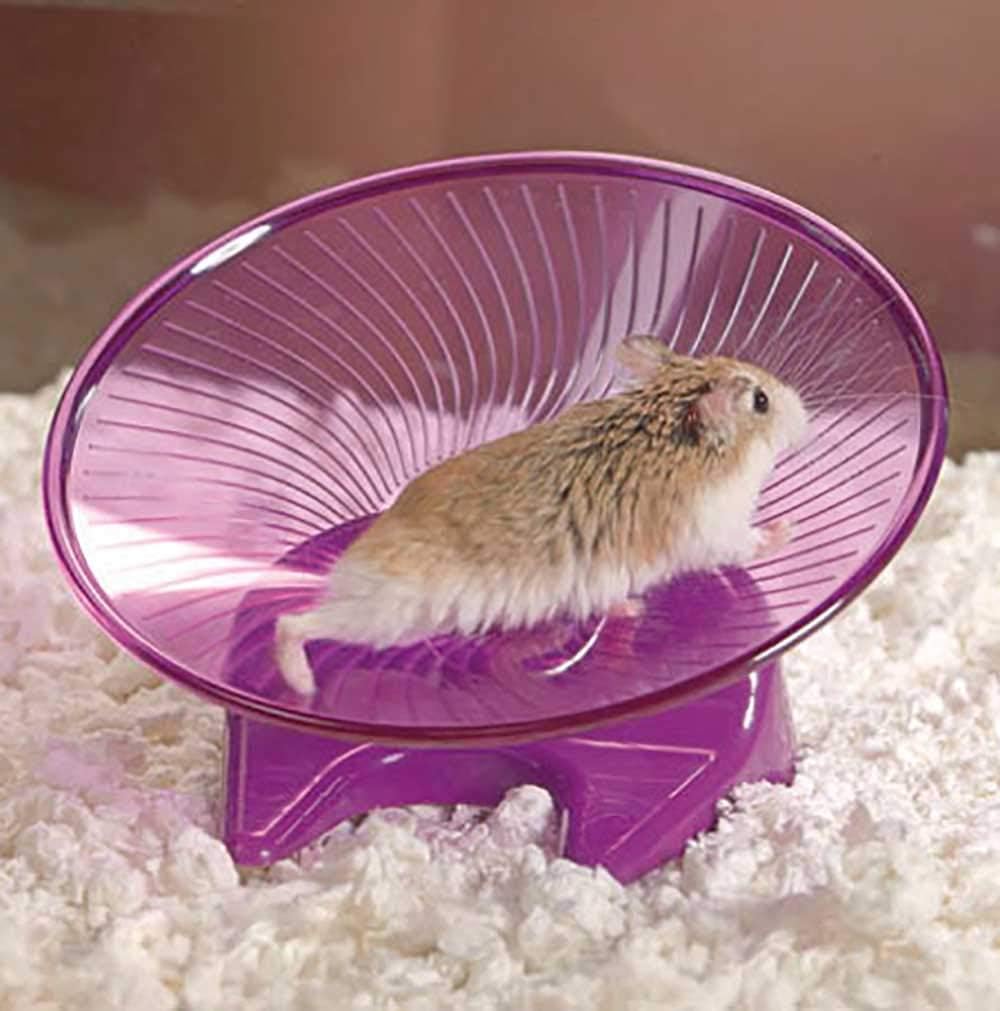 Ware Manufacturing Flying Saucer Exercise Wheel for Small Pets, 5-Inch - Colors may vary