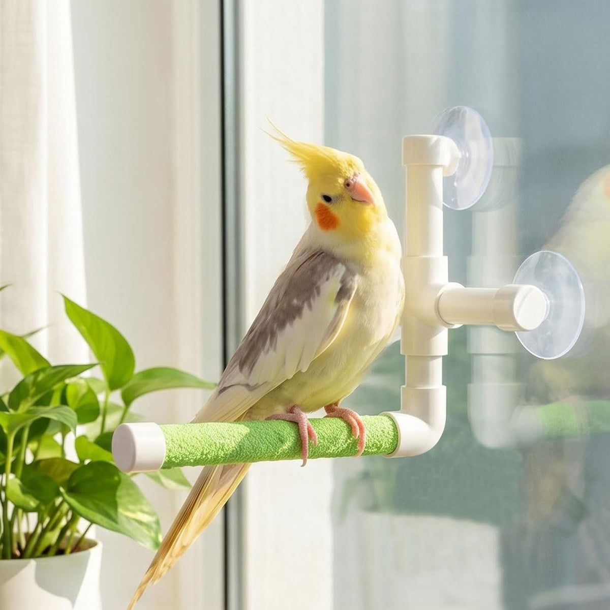 Bird Portable Suction Cup Shower Perch Window Wall Standing Platform for Parrot Parakeet Conure Cockatiel African Grey (Random Color)