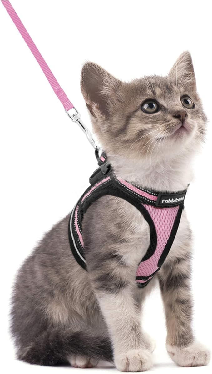 rabbitgoo Cat Harness and Leash Set by rabbitgoo