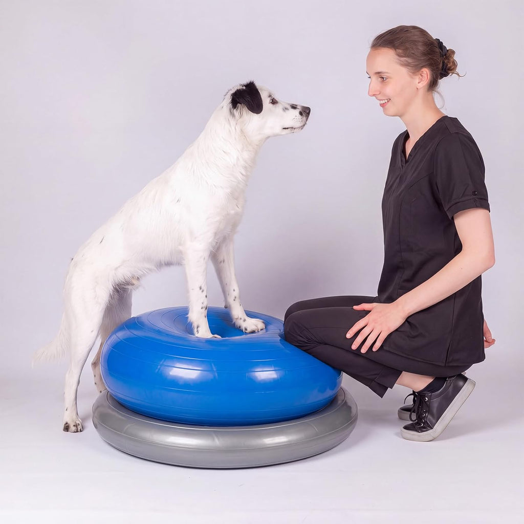 Dog Agility Jump Ring for Small Dog Inflatable Exercise Gear