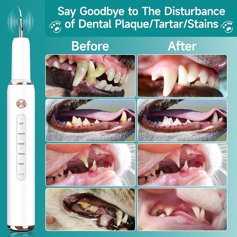 Palvo Dog Plaque Remover for Teeth,Pet Tooth Cleaner with LED Light,Cleaning Kit for Tartar and Stains,5 Adjustable Modes,Pet Teeth Cleaning kit,Suitable for Dogs and Cats
