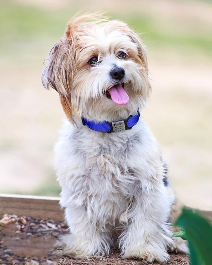 TagME Reflective Nylon Dog Collars, Adjustable Classic Pet Collar - Image 2