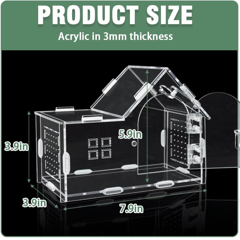 Acrylic Jumping Spider Enclosure House-Shaped Terrarium