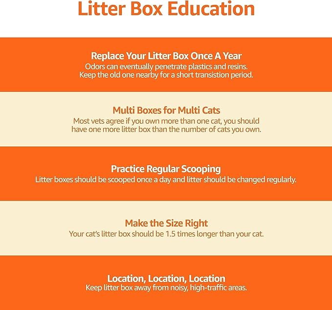 Amazon Basics Large Cat Litter Box - Image 10