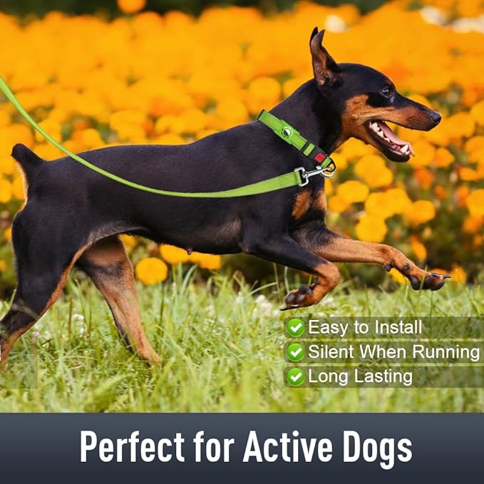 Airtag Dog Collar with AirTag Holder - Image 3