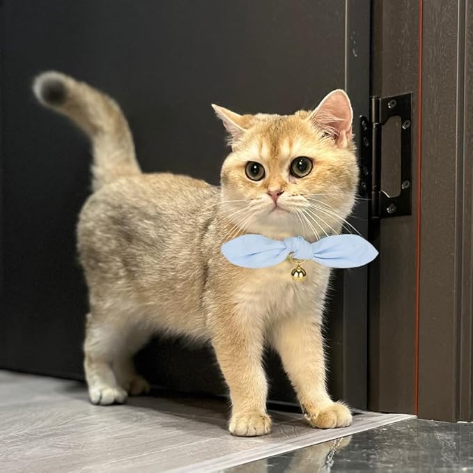 Bunny Ear Cat Collar with Bell and Bow Tie, Breakaway Cute Bowtie Kitten Collars - Image 5