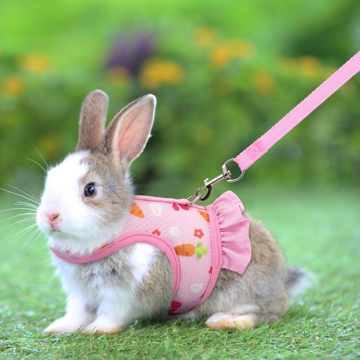 Bunny Harness and Leash Set,Rabbit Harness Small Pet Mesh Vest Orange L