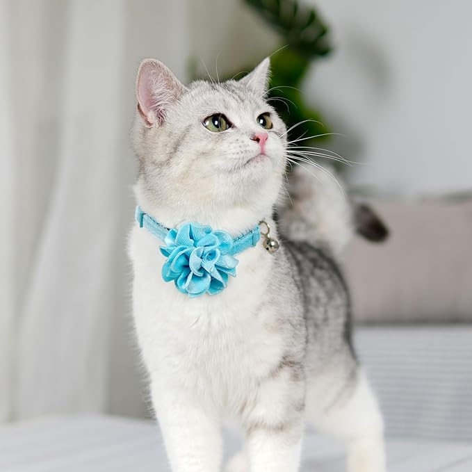 azuza 2 Pack Cat Collar Floral - Image 6