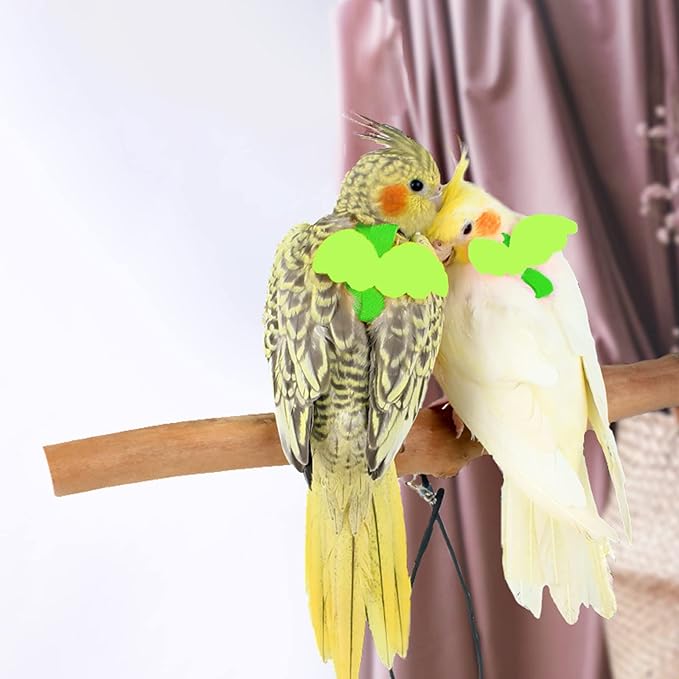 Dnoifne Pet Parrot Bird Harness and Leash, Adjustable Training Design Anti-Bite - Image 3