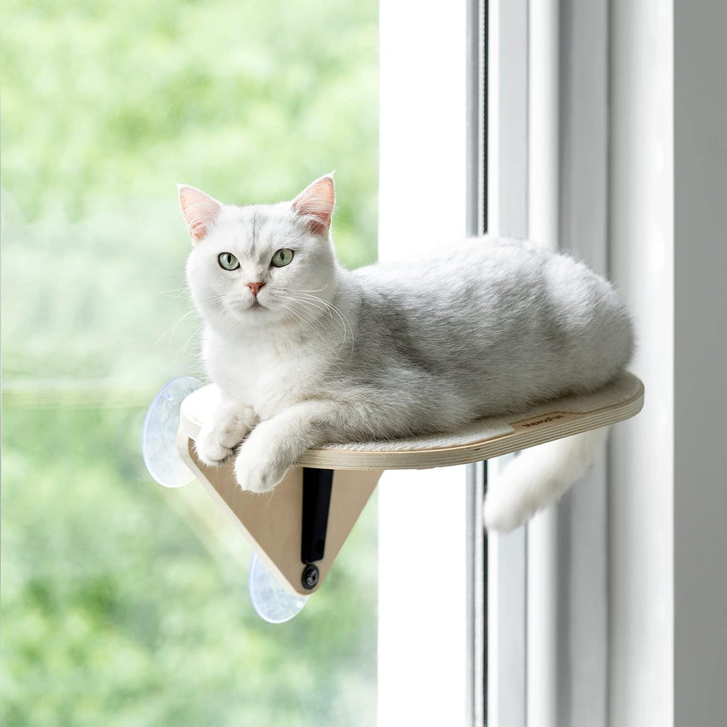 EDAGNY Cat Window Perch Steps for Climbing with Strong Suction Cups,1pcs