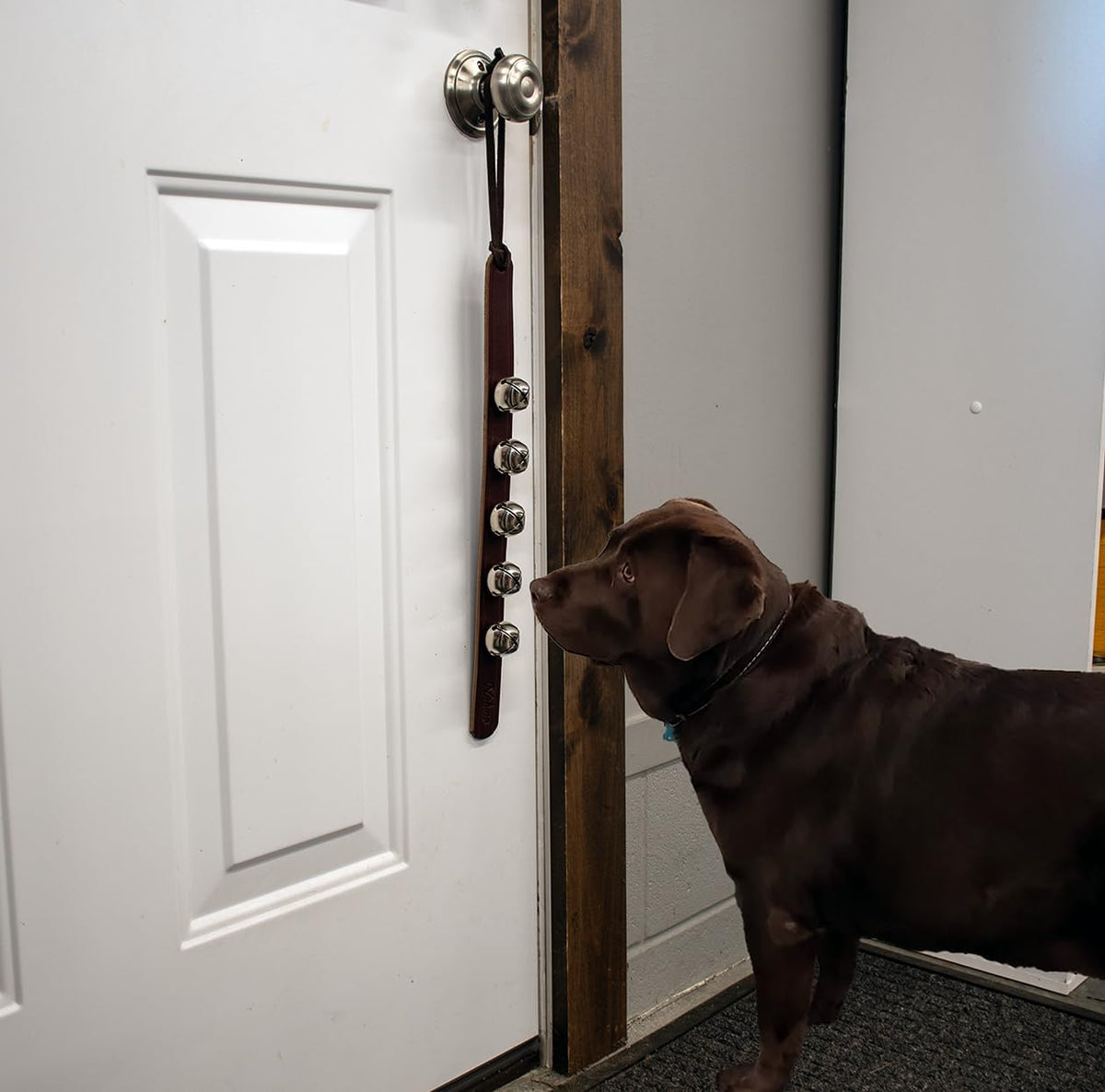 Hanging Door Bells – Handmade Sleigh Bells & Dog Training Bells for Potty Training, Holiday Décor, and Multi-Purpose Door Use (Havana - Brass Bells)