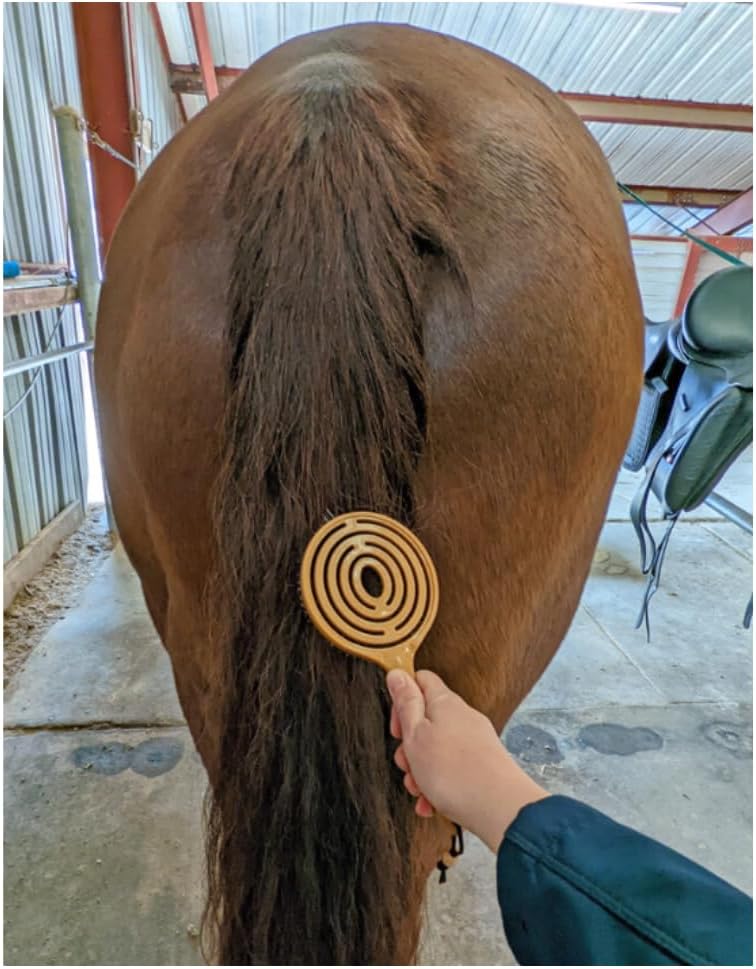 Epona Tigers Tongue Horse Groomer & The Queens Brush Set - Grooming Scrubber Sponge & Hair Brush for Removing Dirt & Dander on Horse's Mane & Tail - for Equestrians and Horse Owners, with E-Book