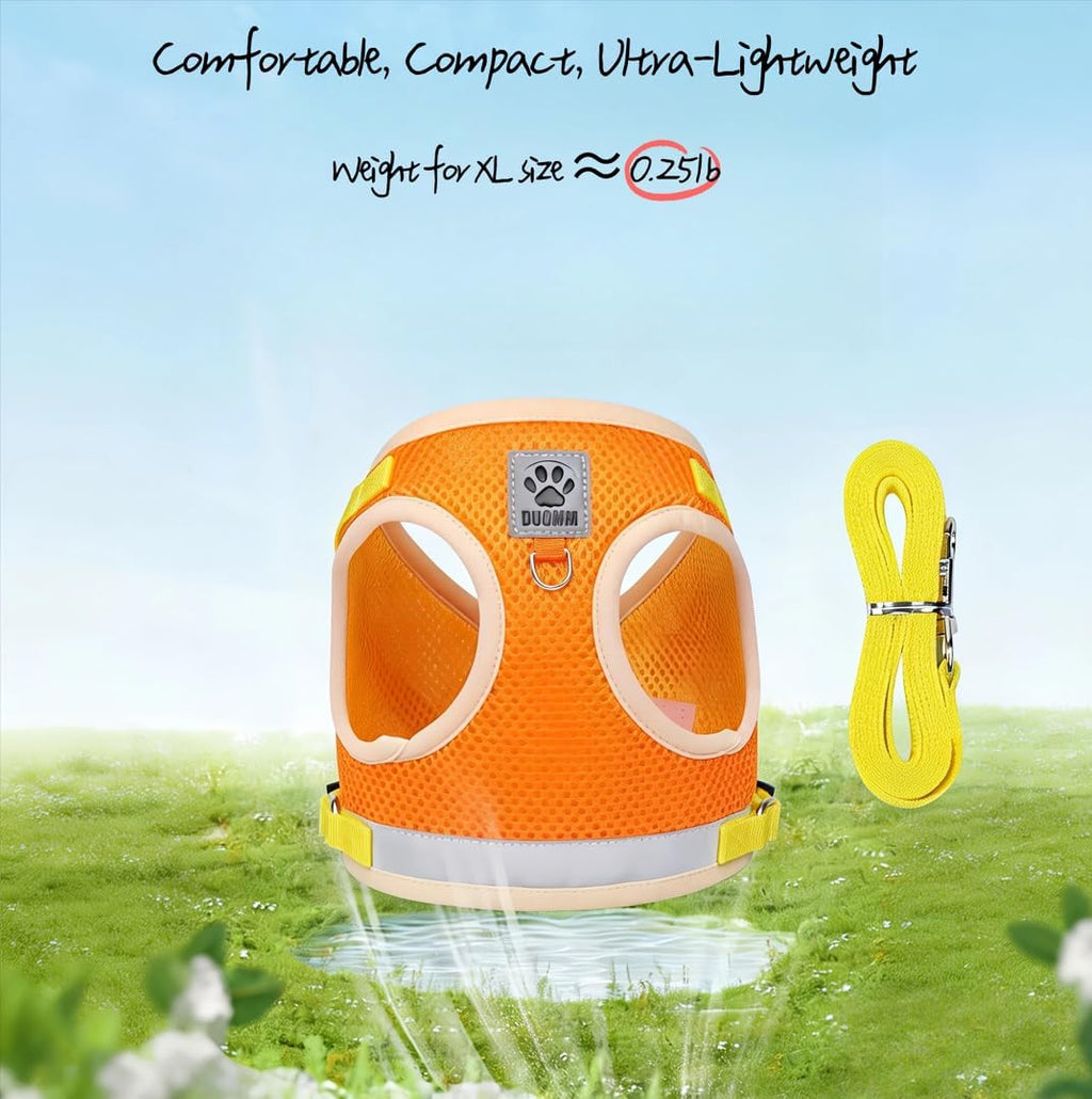 Pet Harness Vest with Leash for Small Medium Dogs Cats-No Pull Step-in Pet Vest Breathable Soft Lightweight Harness and Leash Set for Puppy Kitty Bunny-Orange-XS
