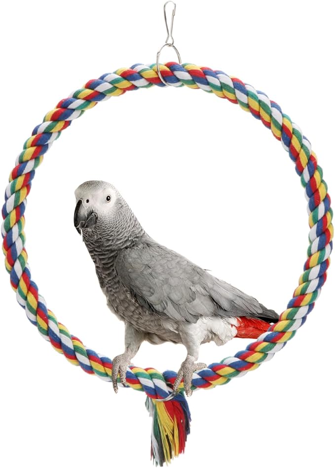 Bird Rope Swing Colorful Perch Climbing Toy by Wontee