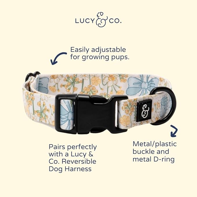 Lucy & Co. Sunshine and Daffodils Dog Collar, Adjustable Durable Dog Collar - Image 2