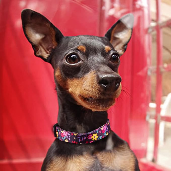 QQPETS Adjustable Soft Dog Collar: Print Flower Pink Multicolor Cute Patterns - Image 6
