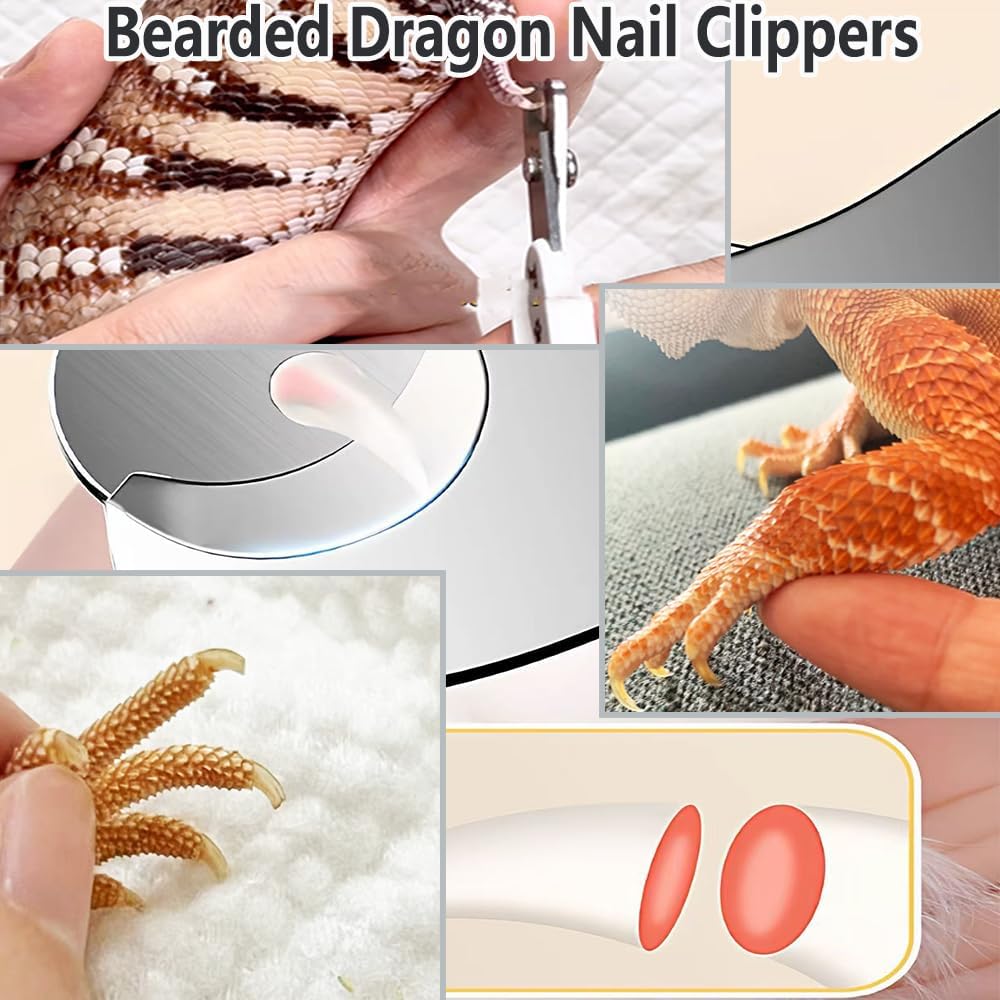 6-Piece Bearded Dragon Tank Cleaning Set, Reptile Enclosure Cleaning Tool Set with Bearded Dragon Nail Clippers&Cleaning Cloth, Brush, Scraper & Mini Dustpan for Lizard & Gecko Terrarium Maintenance