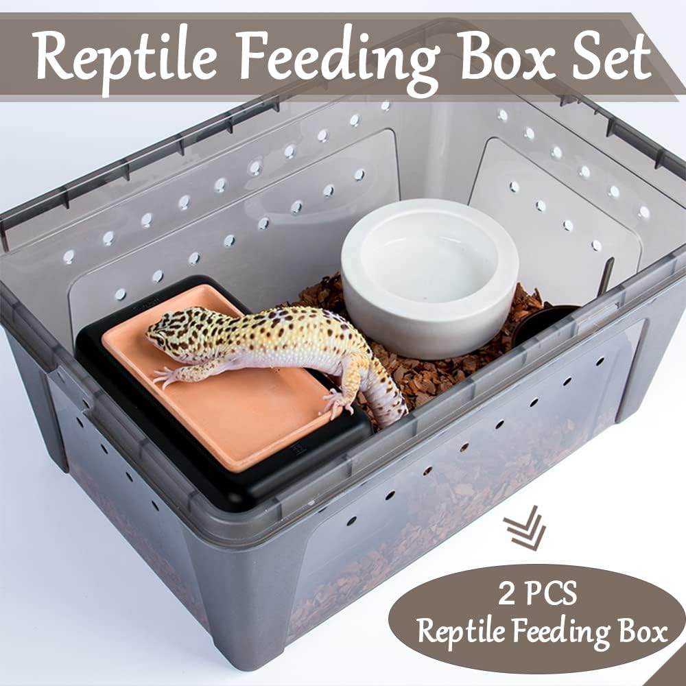 Reptile Hideouts Natural Coconut Shells Hut Hermit Crab Climbing Toys and 2PCS Reptile Feeding Box Snake Breeding Box Transparent Animal Habitat for Bearded Dragon Lizard Spider Frog Scorpio