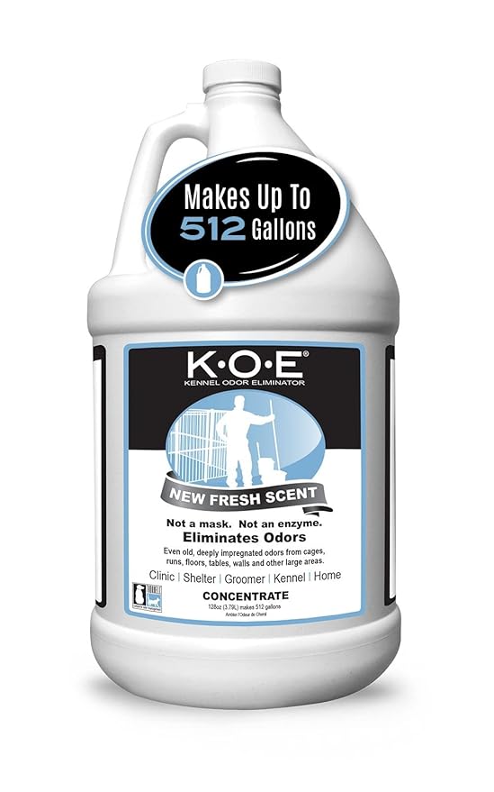 Odorcide K.O.E. Fresh Scent Odor Eliminator Concentrate – by Odorcide
