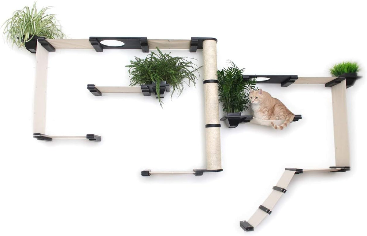 CatastrophiCreations Gardens Set for Cats Multiple-Level Wall Mounted Scratch, Hammock Lounge, Play & Climbing Activity Center Furniture Cat Tree Shelves