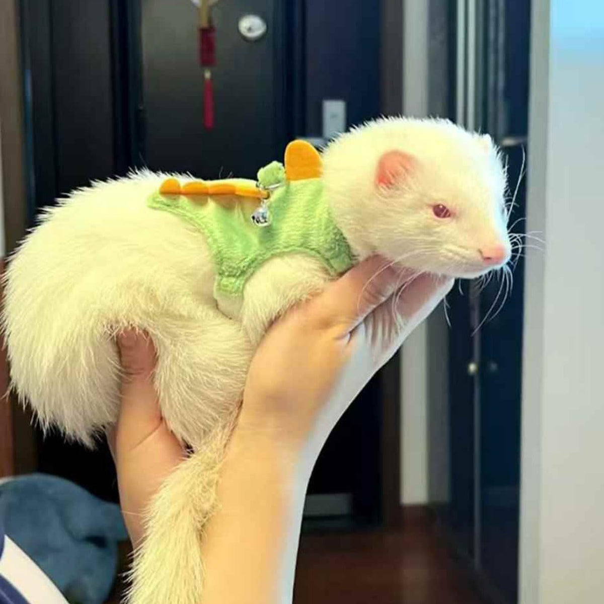 Adjustable Dinosaur Plush Harness & Leash Set, Soft No?Restriction Vest with Safety Bell, Escape?Proof Walking Leash for Ferret, Guinea Pig, Rabbit, Kitten, Puppy (Dinosaur-Green)