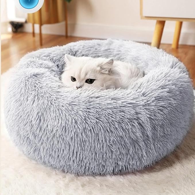 Cat Bed for Indoor Cats by Unknown