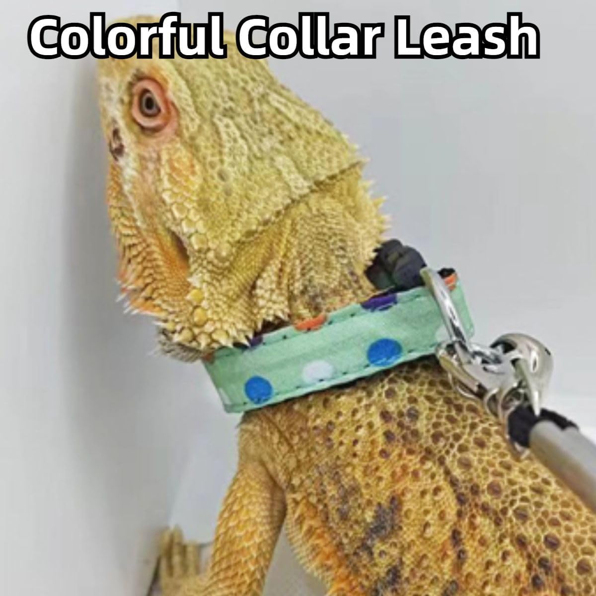 3PCS Bearded Dragon Lizard Leash Collar Harness Mini Adjustable Reptile Collar with Bells Nylon Pet Collar Suitable for Lizard Bearded Dragon Gecko Chameleon Safety Outdoor Walking (S)
