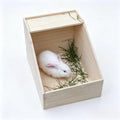 Rabbit Nesting Box, 18"x13"x12", Wood