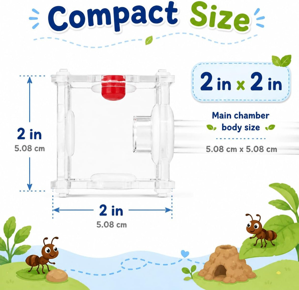 Mini Queen Ant Nest with Test Tube 2 x 2 x 2 Inch 18X180MM Transparent Acrylic Ant Farm for Small Colonies Starter Habitat Observation Formicarium